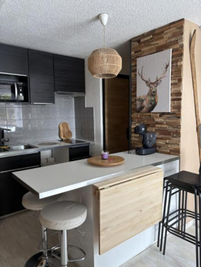Appartements au cœur de la station de ski 